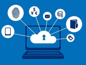 进销存管理软件 企业高效运营的智慧引擎